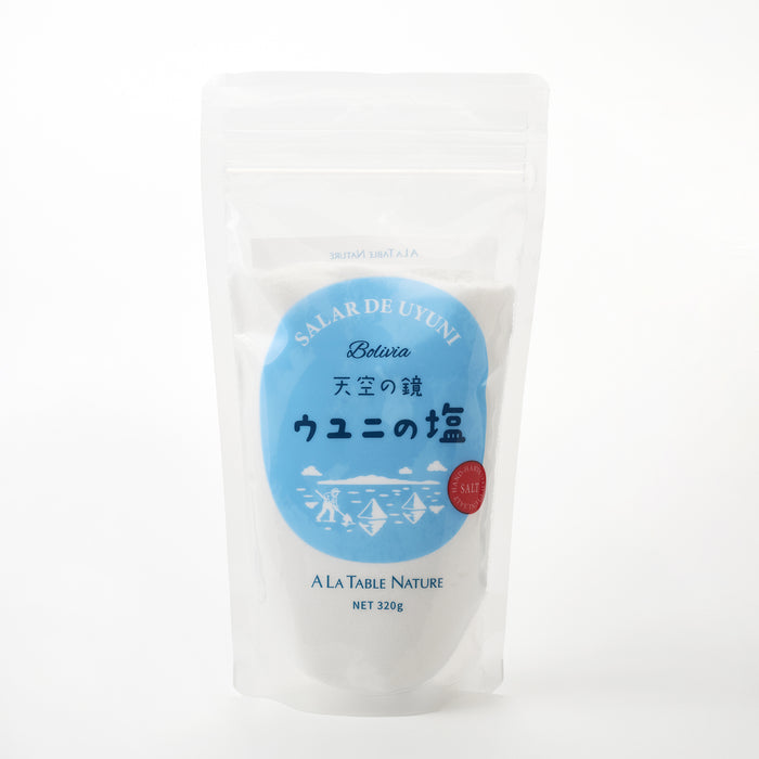 天空の鏡 ウユニの塩