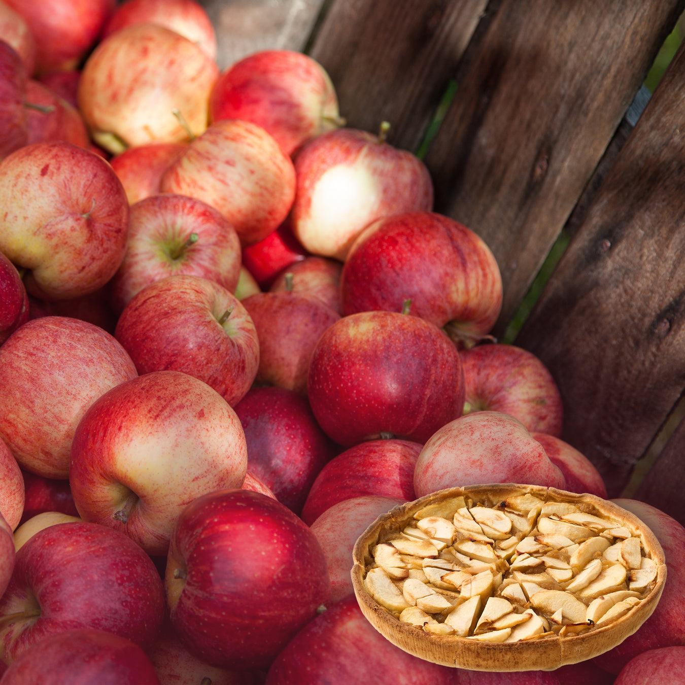 フランス産りんご×職人技。<br>自然派の冷凍アップルタルト