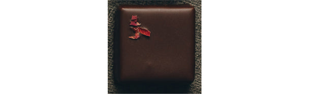 おこっぺハマナスとブルーベリー